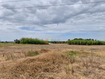 Terreno para Venda em Pinhal Novo