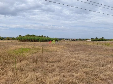 Terreno para Venda em Pinhal Novo