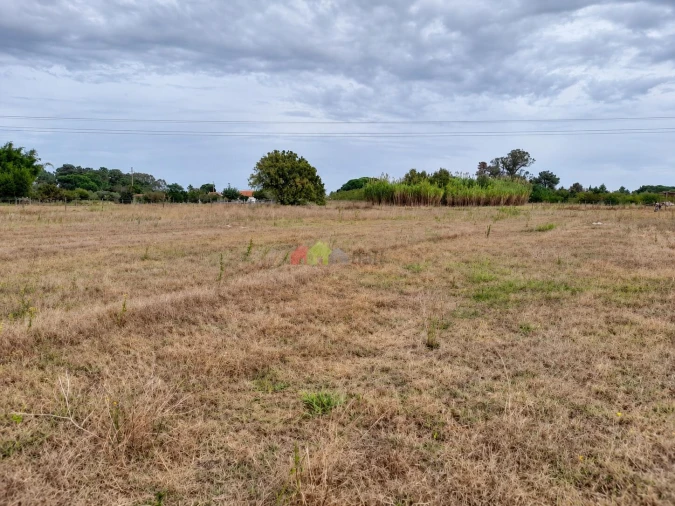 Terreno para Venda em Pinhal Novo Foto 4