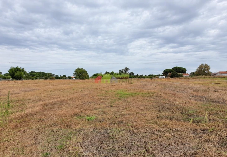 Terreno para Venda em Pinhal Novo Foto 12