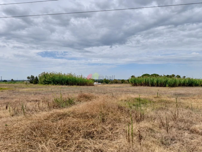 Terreno para Venda em Pinhal Novo Foto 6