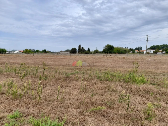 Terreno para Venda em Pinhal Novo Foto 10