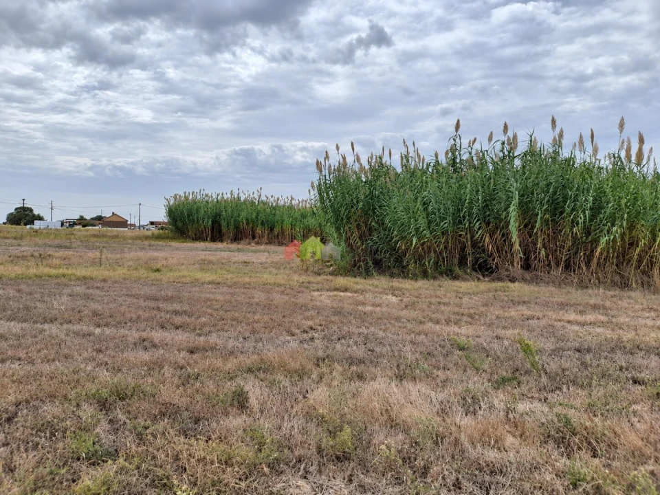 Terreno para Venda em Pinhal Novo Foto 11
