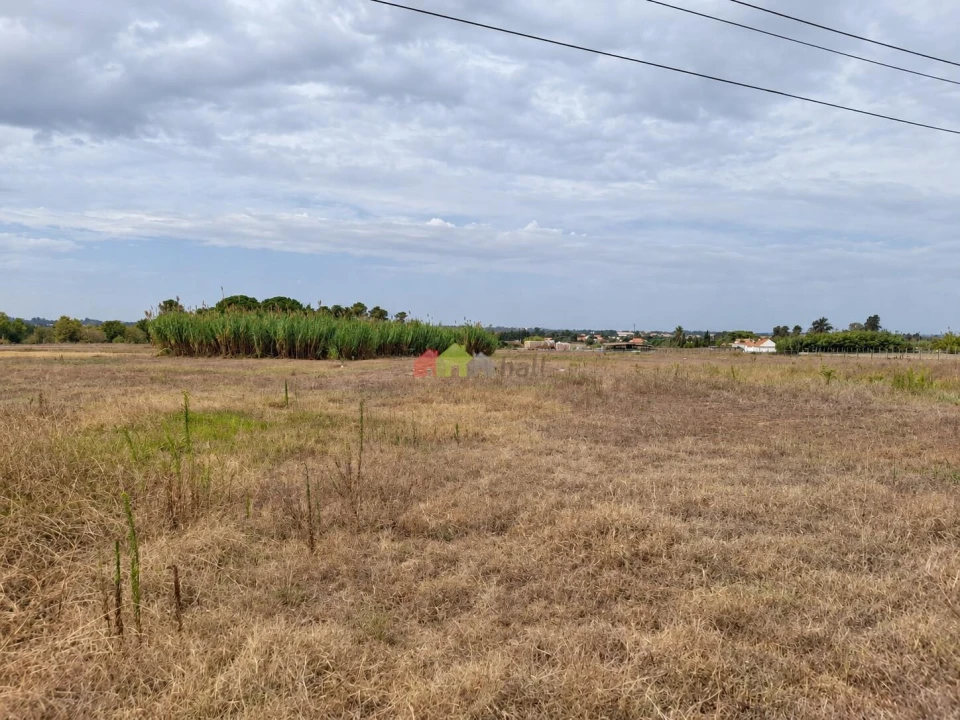 Terreno para Venda em Pinhal Novo Foto 8