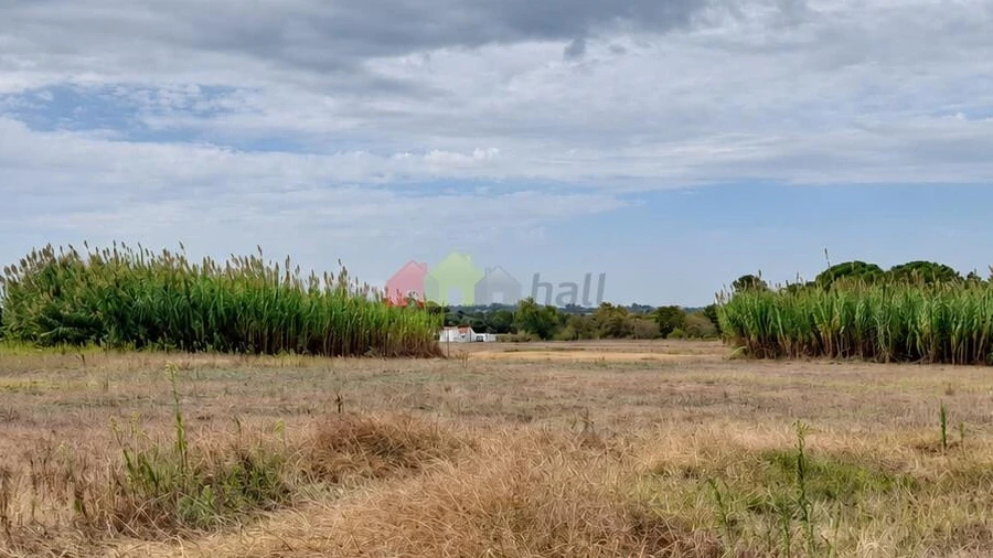 Terreno para Venda em Pinhal Novo