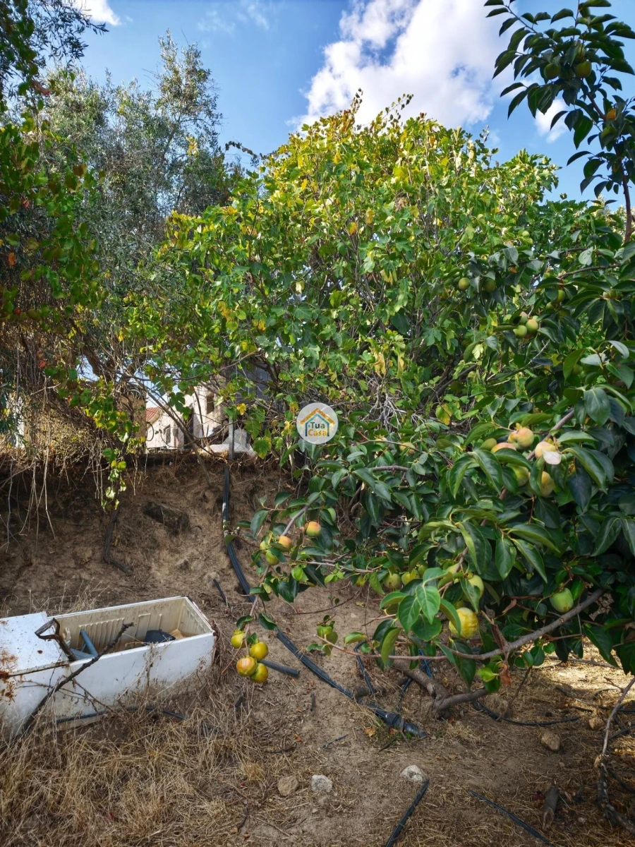 Moradia T2 para Venda em Três Povos Foto 3