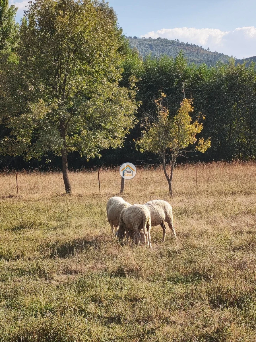Moradia T2 para Venda em Três Povos Foto 15