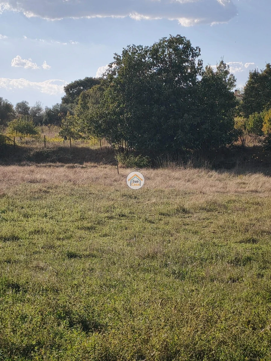 Moradia T2 para Venda em Três Povos Foto 17