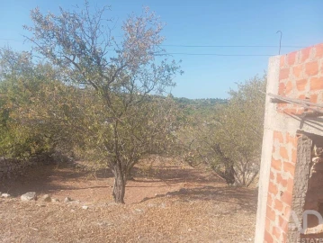 Moradia T4 para Venda em Boliqueime