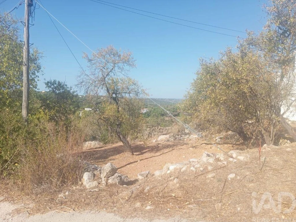 Moradia T4 para Venda em Boliqueime Foto 19