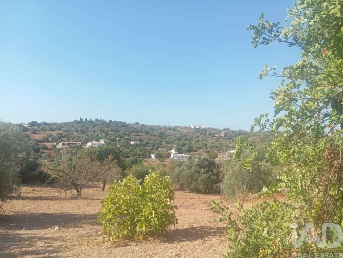 Moradia T4 para Venda em Boliqueime Foto 27