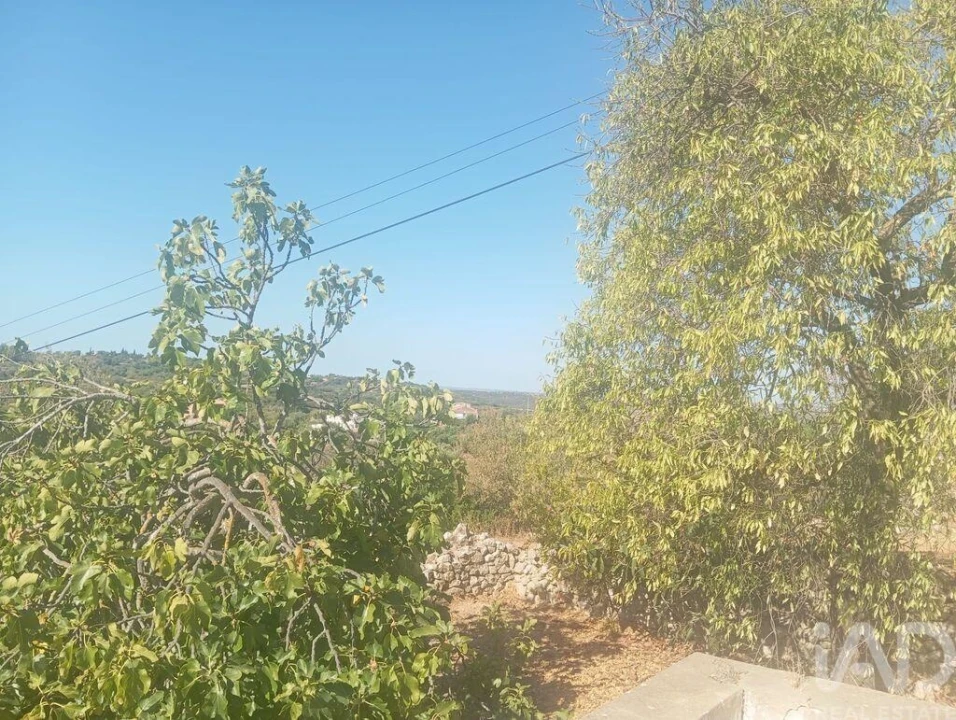 Moradia T4 para Venda em Boliqueime Foto 3