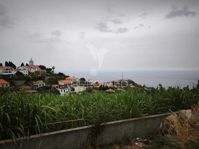 Terreno para Venda em Canhas Foto 3