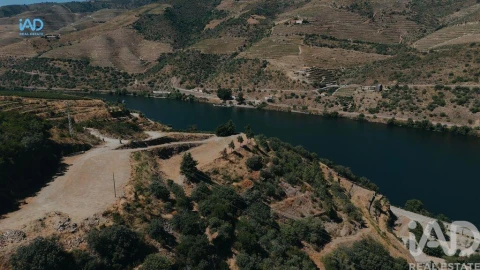 Terreno para Venda em Adorigo