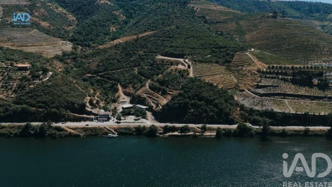 Terreno para Venda em Adorigo