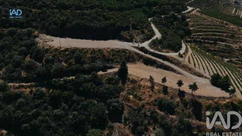 Terreno para Venda em Adorigo