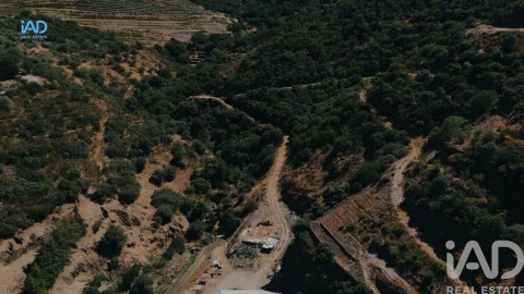 Terreno para Venda em Adorigo