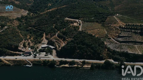 Terreno para Venda em Adorigo