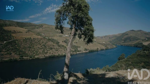 Terreno para Venda em Adorigo