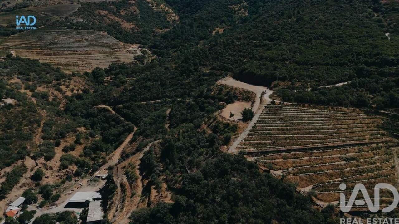 Terreno para Venda em Adorigo Foto 9