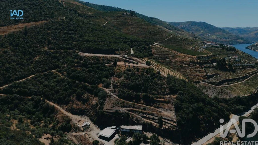 Terreno para Venda em Adorigo Foto 20