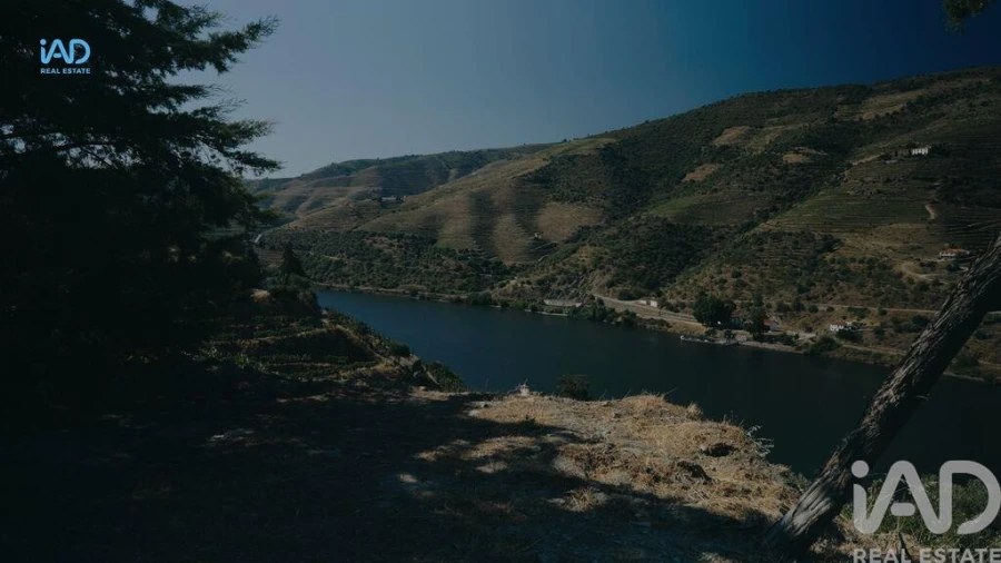 Terreno para Venda em Adorigo Foto 16