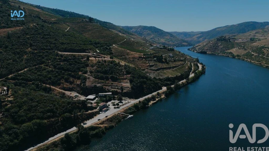 Terreno para Venda em Adorigo Foto 12