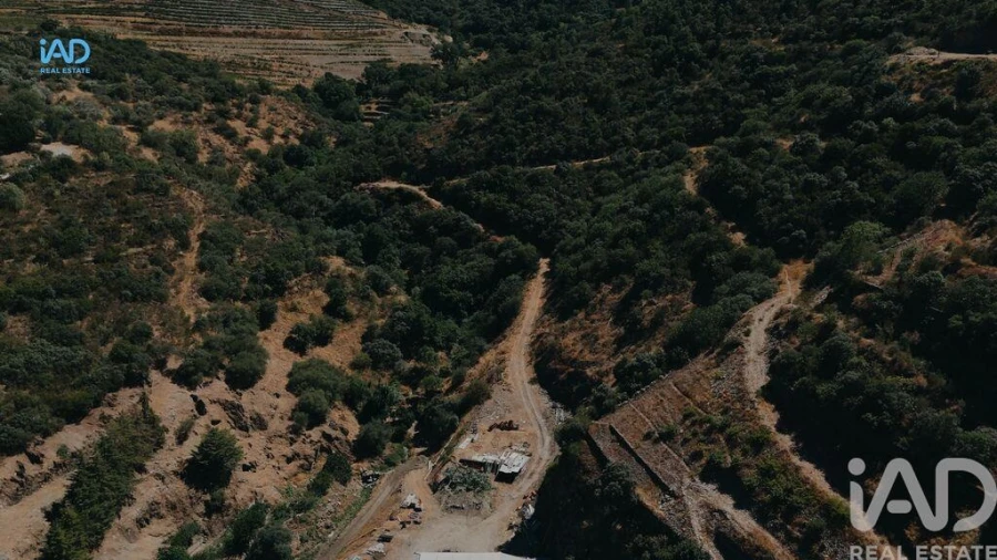 Terreno para Venda em Adorigo Foto 22