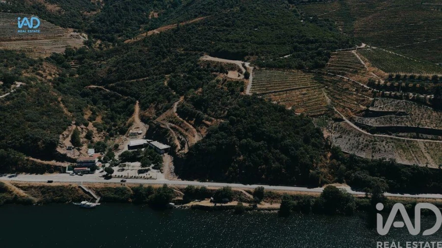 Terreno para Venda em Adorigo Foto 18