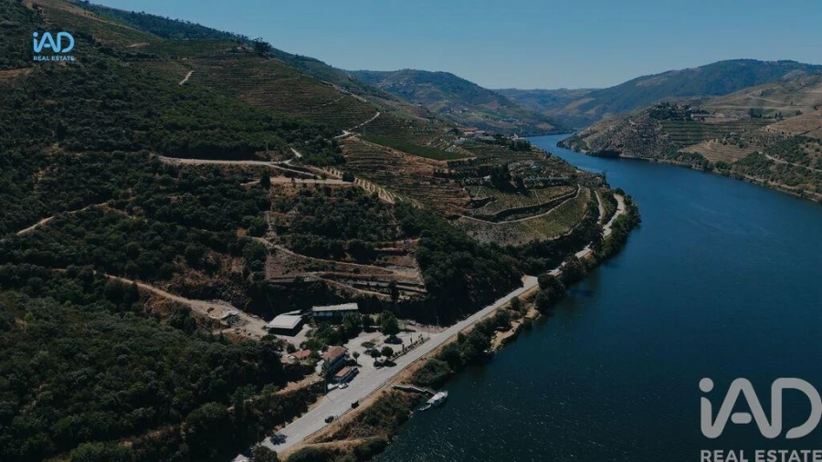 Terreno para Venda em Adorigo Foto 19