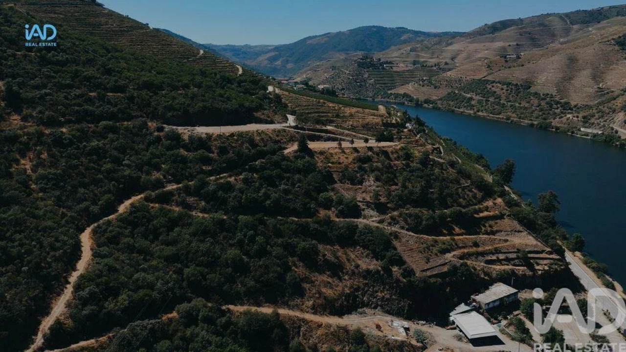 Terreno para Venda em Adorigo Foto 11