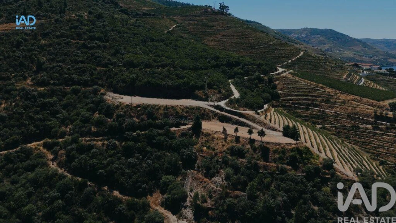 Terreno para Venda em Adorigo Foto 7