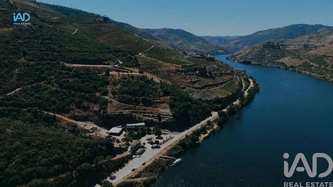 Terreno para Venda em Adorigo Foto 19
