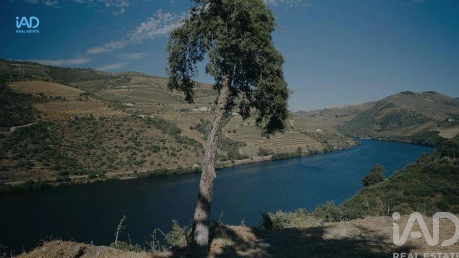 Terreno para Venda em Adorigo