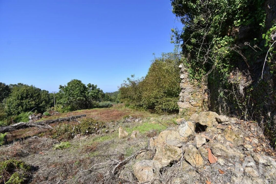 Moradia para Venda em Espinhal Foto 14