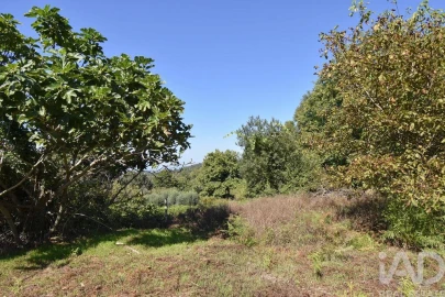 Moradia para Venda em Espinhal