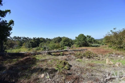 Moradia para Venda em Espinhal