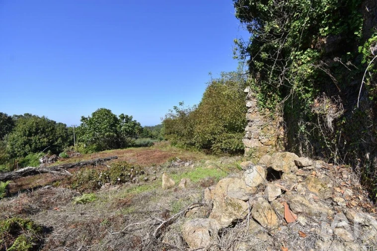 Moradia para Venda em Espinhal Foto 14
