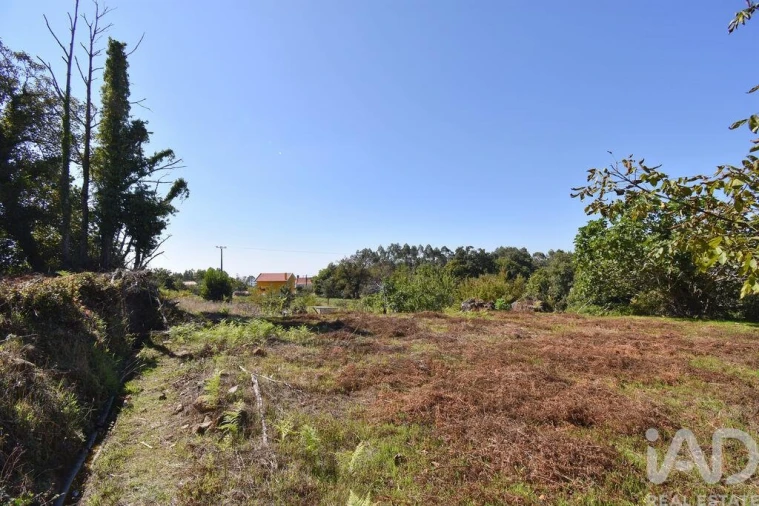 Moradia para Venda em Espinhal Foto 16