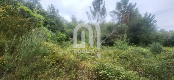 Terreno para Venda em Valadares
