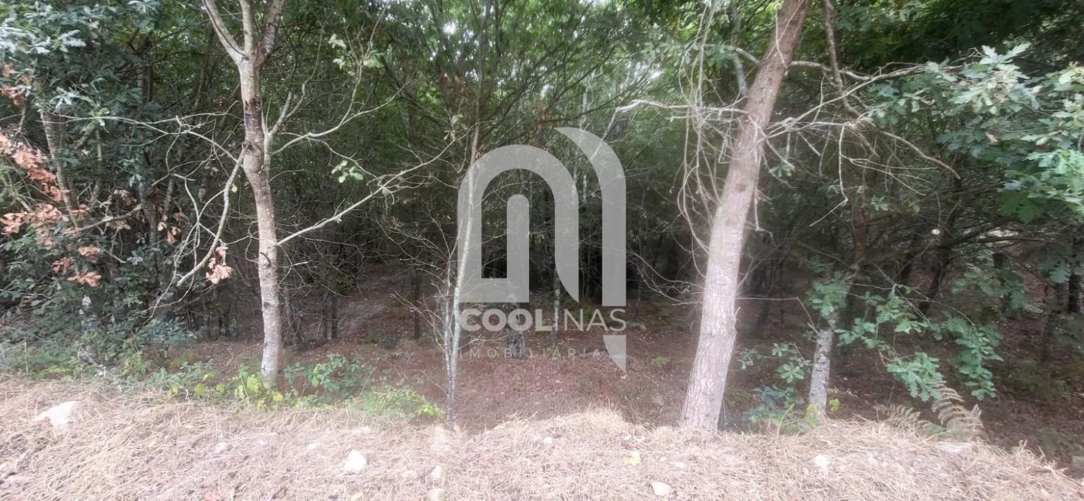 Terreno para Venda em Valadares Foto 11