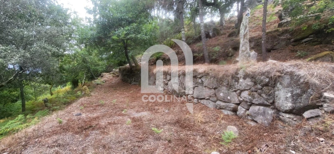 Terreno para Venda em Valadares Foto 4