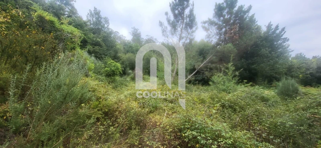 Terreno para Venda em Valadares Foto 3
