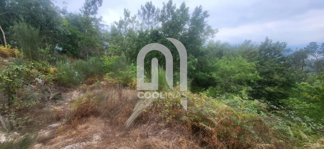 Terreno para Venda em Valadares Foto 2