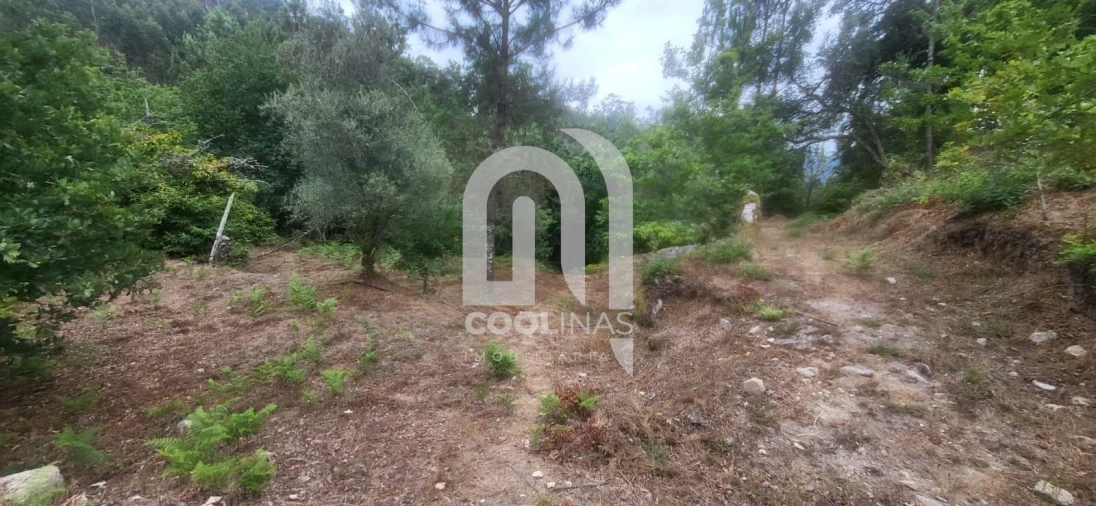 Terreno para Venda em Valadares Foto 5