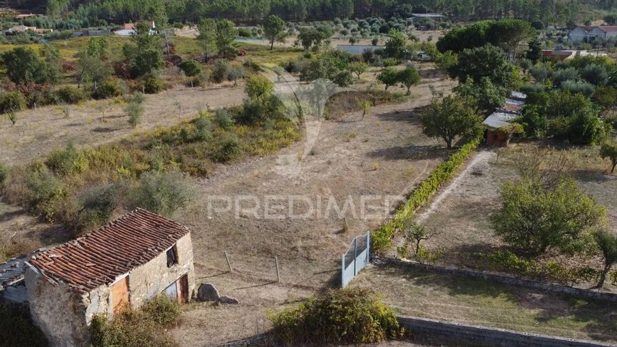 Terreno para Venda em Mação, Penhascoso e Aboboreira