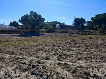 Terreno para Venda em Coruche, Fajarda e Erra
