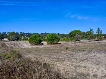 Terreno para Venda em Coruche, Fajarda e Erra