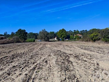 Terreno para Venda em Coruche, Fajarda e Erra