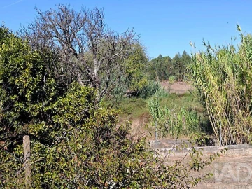 Terreno para Venda em Coruche, Fajarda e Erra